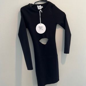 BRAND NEW PRINCESS POLLY DRESS